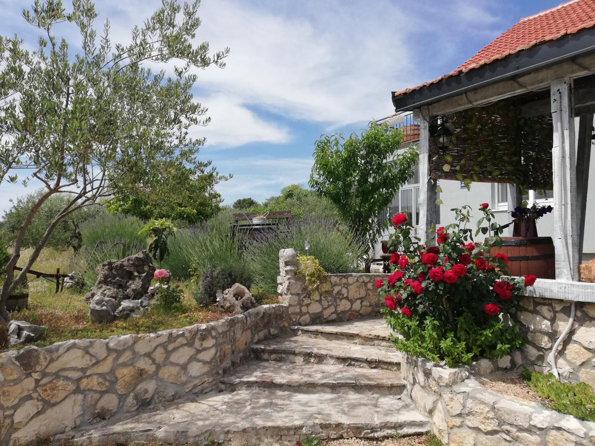 Apartmani Goga Skradin Exterior photo
